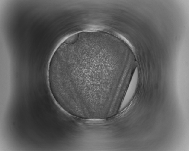 X0000099571487200805301531