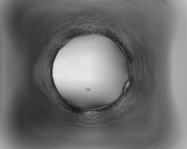 X0000099571489200805301530