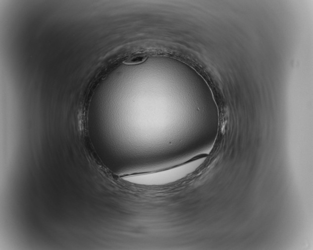 X0000099571490200805301530