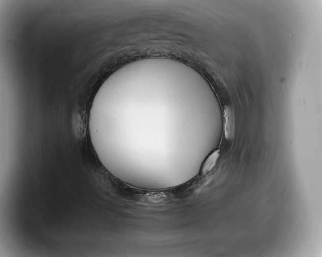 X0000099571491200805301530