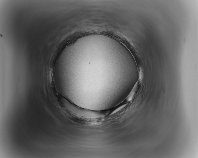 X0000099571492200805301530
