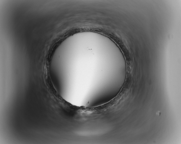 X0000099571493200805301530