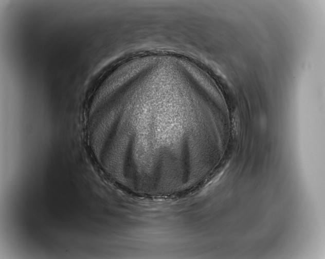 X0000099571494200805301530