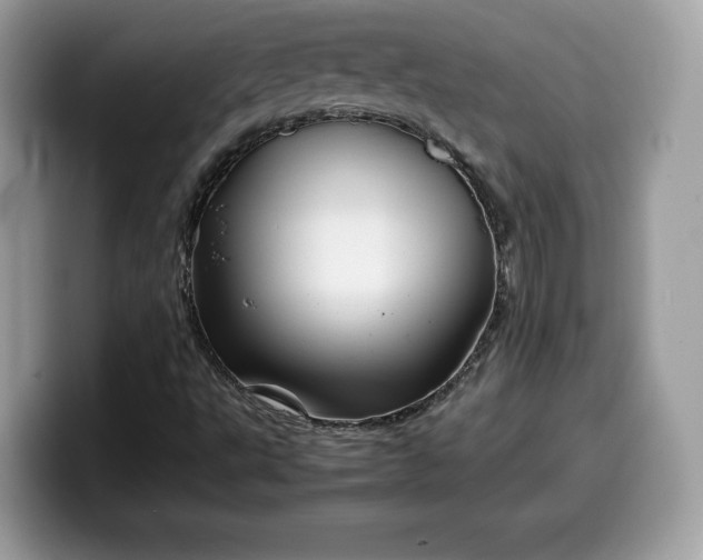 X0000099571495200805301530