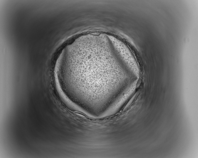 X0000099571496200805301530