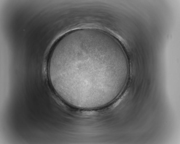 X0000099571498200805301530