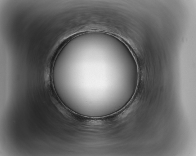 X0000099571499200805301530