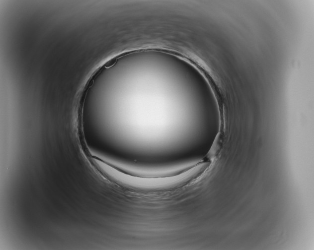 X0000099571500200805301530