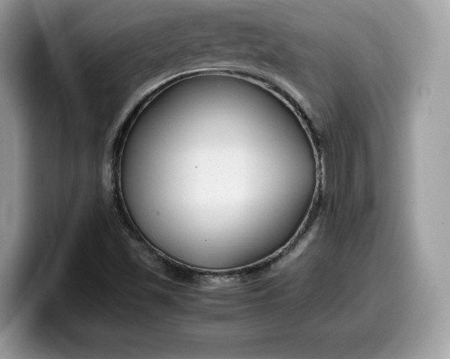 X0000099571501200805301530