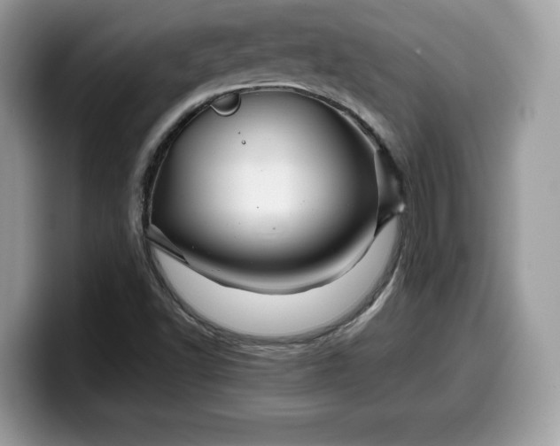 X0000099571502200805301530