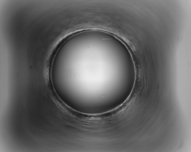 X0000099571503200805301530