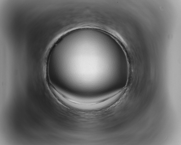 X0000099571504200805301530