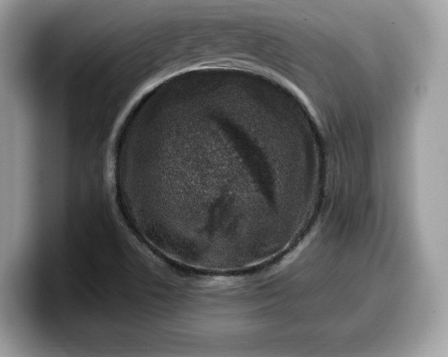 X0000099571506200805301530
