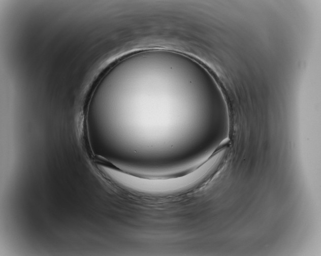 X0000099571507200805301530