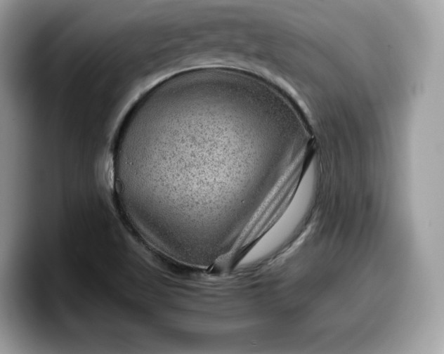 X0000099571509200805301530