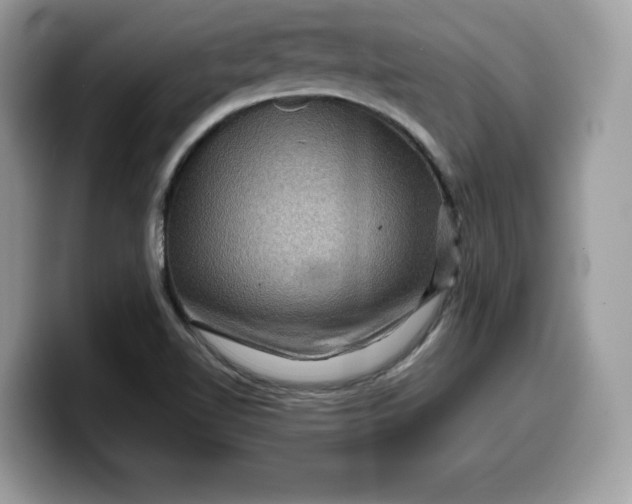 X0000099571510200805301530