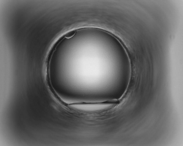 X0000099571511200805301530