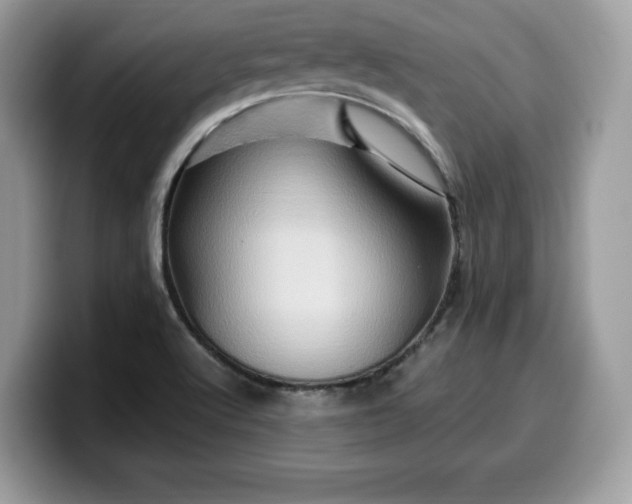 X0000099571512200805301530