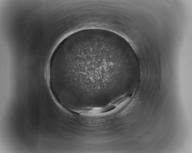X0000099571515200805301530