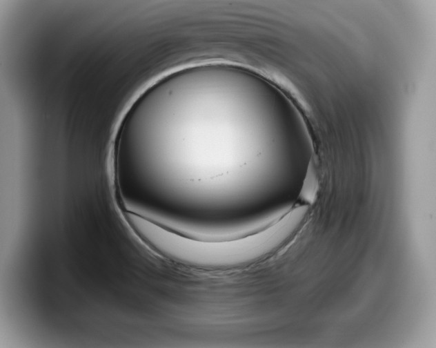 X0000099571516200805301530