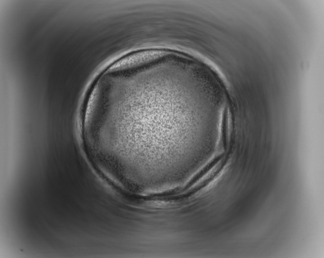 X0000099571517200805301530