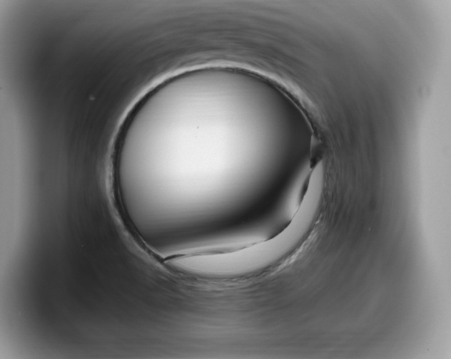 X0000099571518200805301530