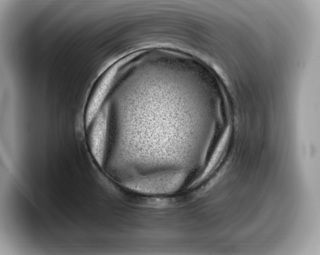 X0000099571521200805301530