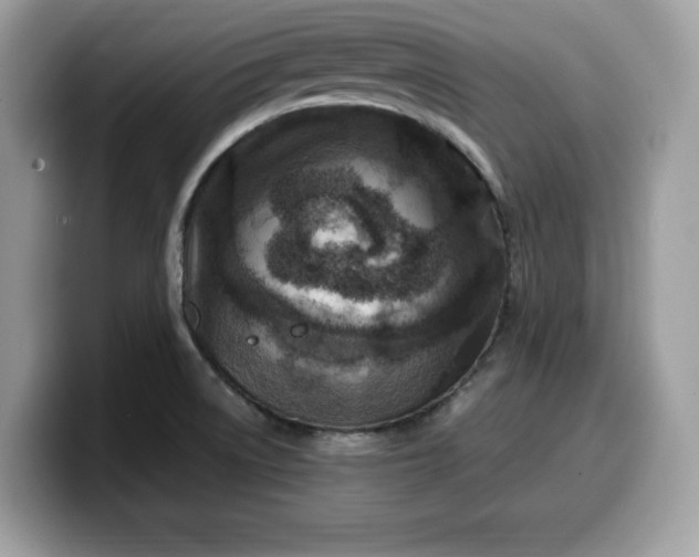 X0000099571522200805301530