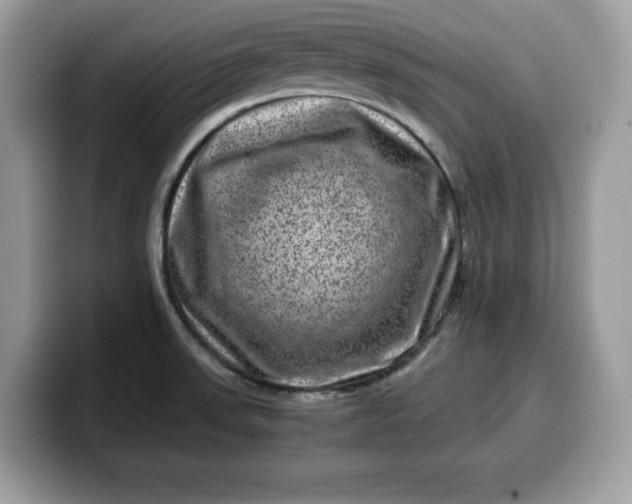 X0000099571523200805301530