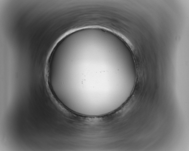 X0000099571526200805301530