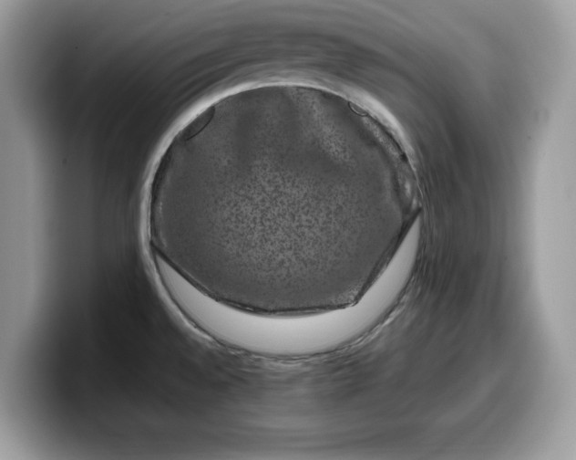 X0000099571528200805301530