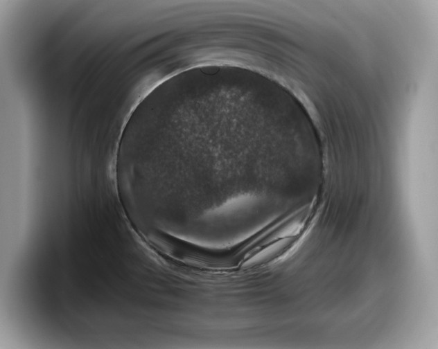 X0000099571529200805301530