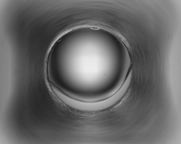 X0000099571530200805301530