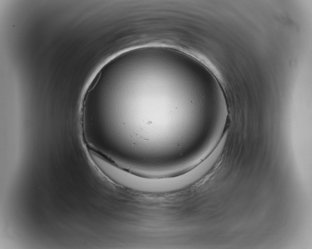 X0000099571532200805301530