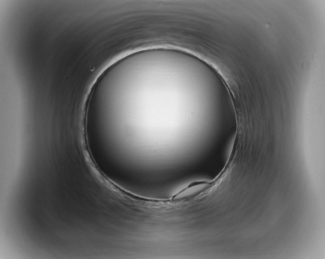 X0000099571534200805301530