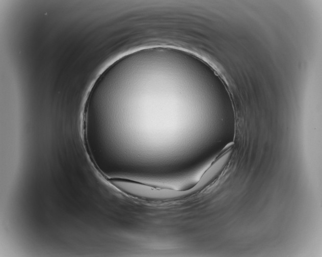 X0000099571535200805301530