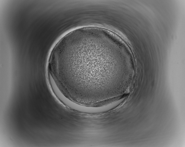 X0000099571536200805301530