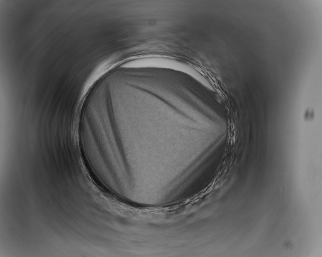 X0000099570004200806061614