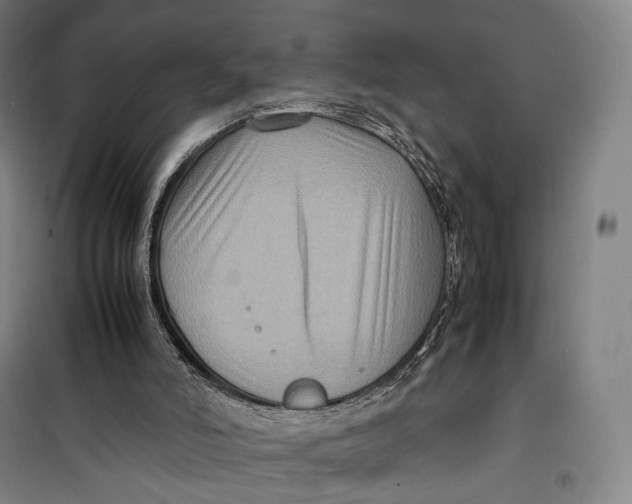 X0000099570006200806061614