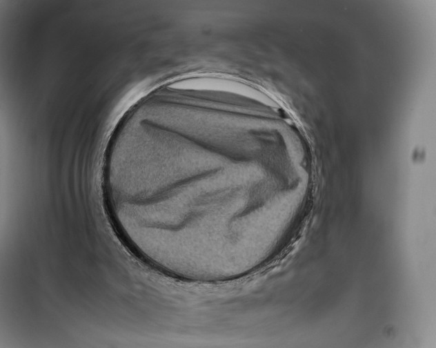 X0000099570007200806061614