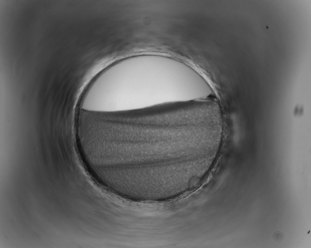 X0000099570008200806061614