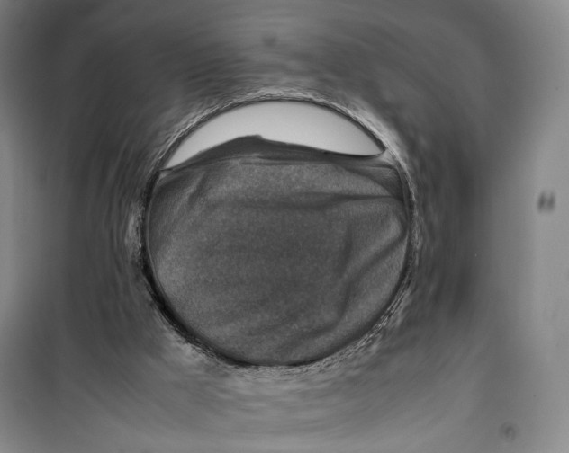 X0000099570009200806061614