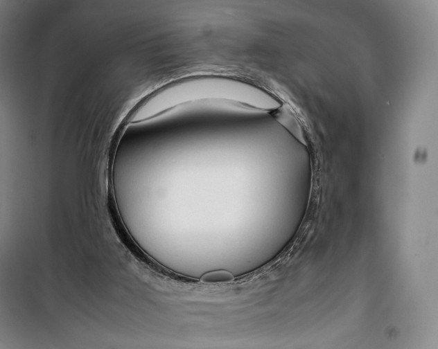 X0000099570011200806061614