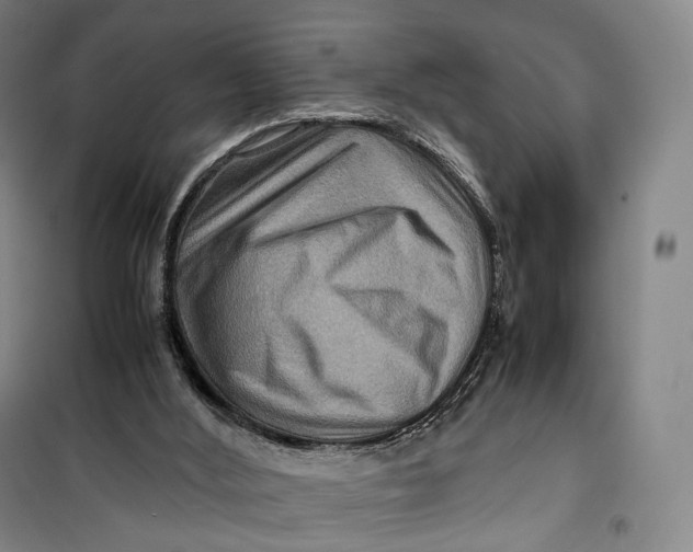 X0000099570012200806061614