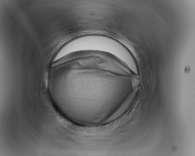 X0000099570013200806061614