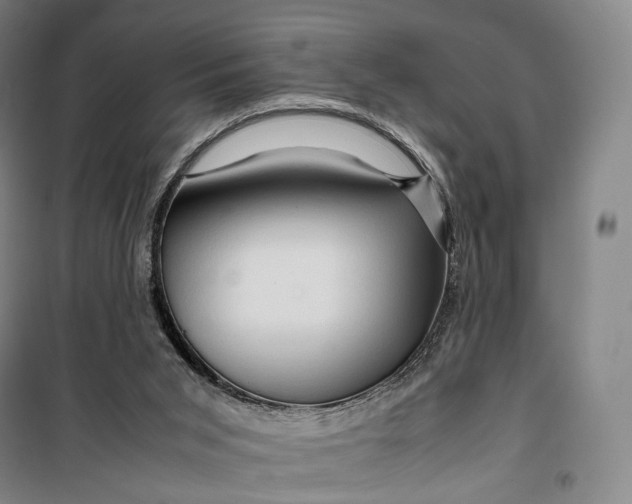 X0000099570015200806061614