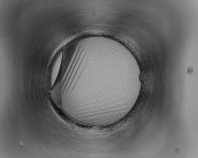 X0000099570016200806061614