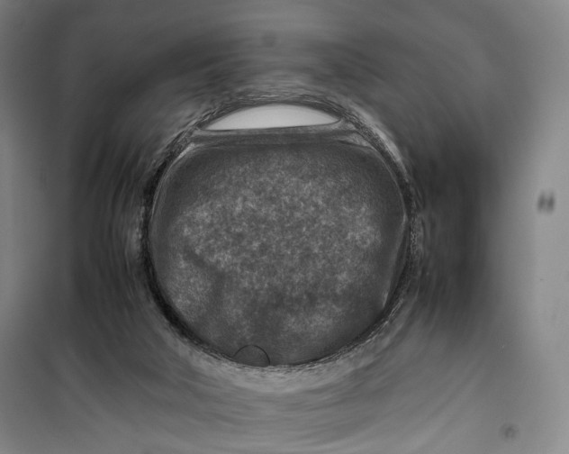 X0000099570018200806061614