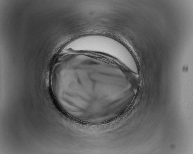 X0000099570019200806061614