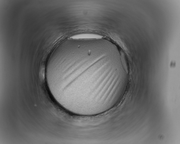 X0000099570021200806061614